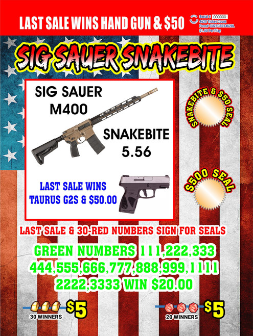 Sig Sauer M400 Snakebite Rifle & Taurus Hand Gun