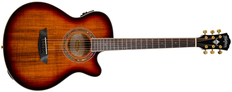  Washburn Festival Series EA55G Acoustic Guitar