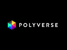 Polyverse