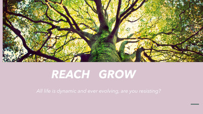Take the Leap: How to Know When It's Time