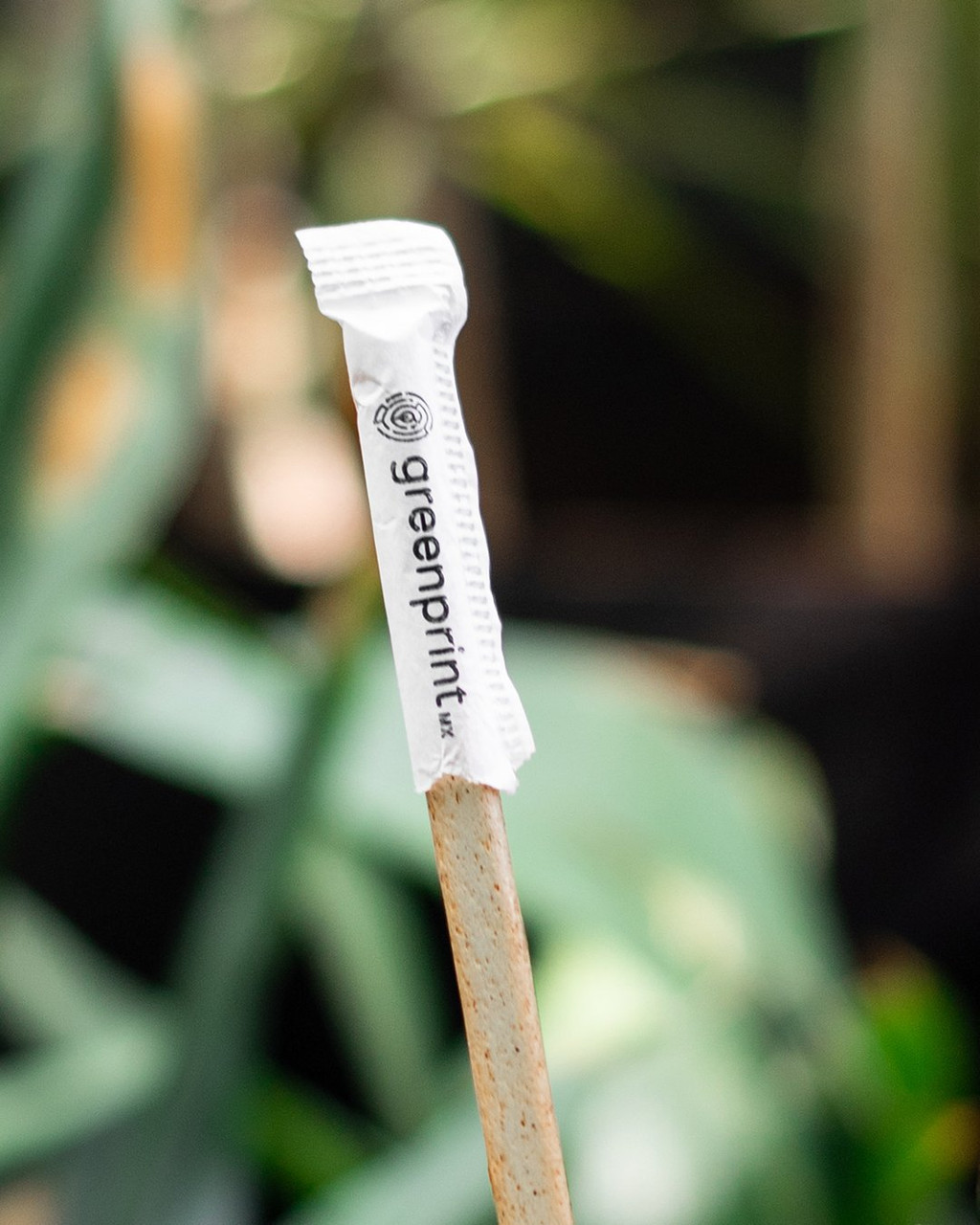 best agave straws wrapped drinks bar drinking cocktail