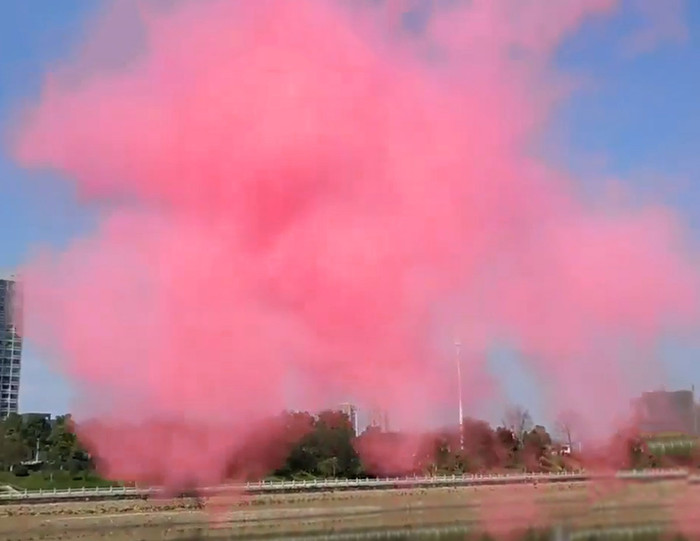 2 Pink Or Blue Baby Gender Reveal Smoke Powder Cannon Newborn