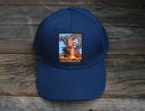 Ancient Bristlecone Pine #806 at Sunrise Hemp Baseball hat