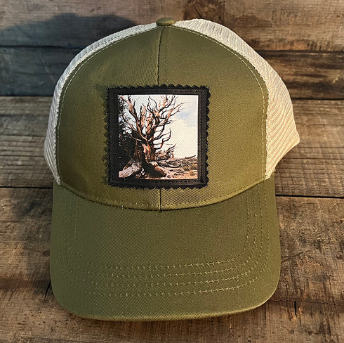Ancient Bristlecone Pine #800 Organic Cotton Keep on Truckin' Trucker Hat