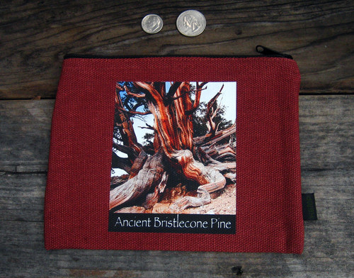 Ancient Bristlecone Pine #803 Medium &  Large Hemp Coin Purse