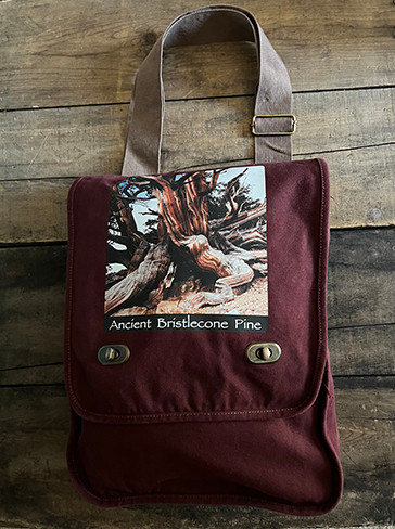 Ancient Bristlecone Pine #803 Cotton Canvas Field/Messenger Bag