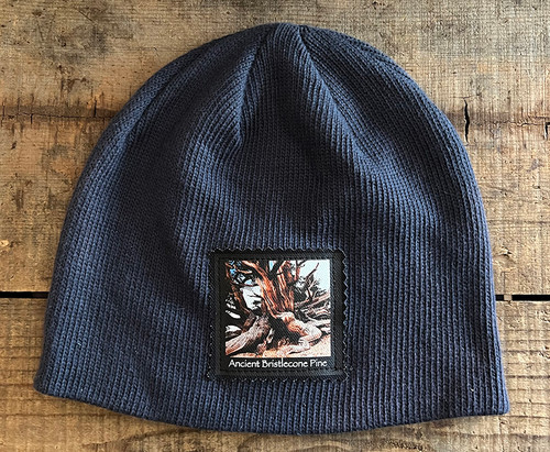 Ancient Bristlecone Pine #803 Organic Cotton Beanie Hat