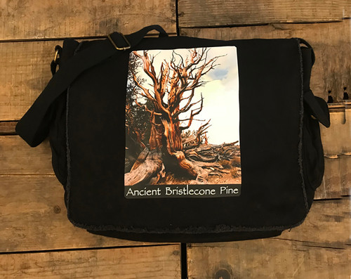 Ancient Bristlecone Pine #800 Cotton Canvas Messenger Bag