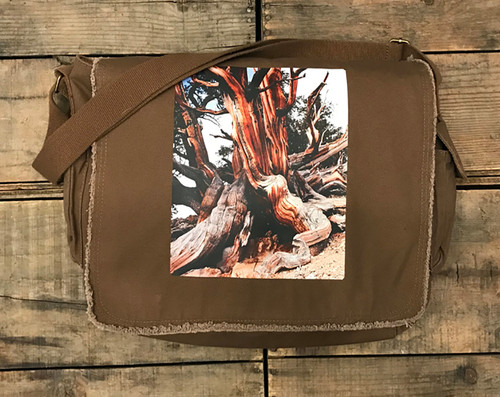 Ancient Bristlecone Pine #803 Cotton Canvas Messenger Bag