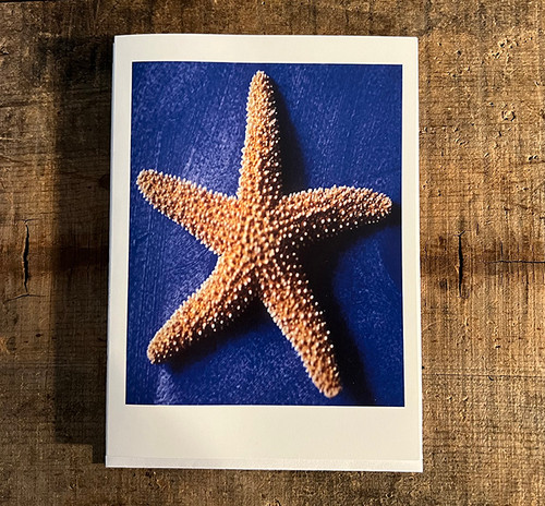 Starfish Greeting Card