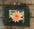 Water Lily #278 Medium & Large Hemp Coin Purse Pouch