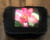 Lotus Cotton Canvas Messenger Bag
