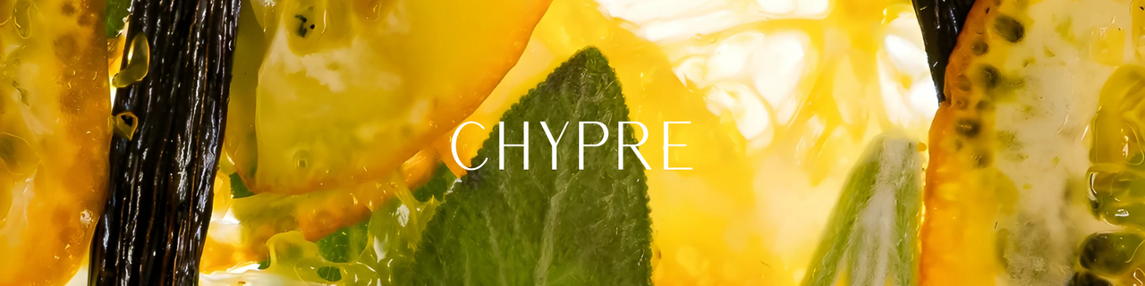 Shop by Fragrance: Chypre