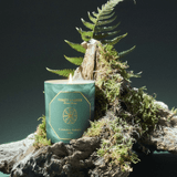 Candle - Carriere Freres - Carrière Frères Winter Forest Candle 185g - The Gift Company
