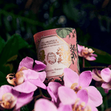 Candle - Carriere Freres - Carrière Frères Geranium Candle & Refill Bundle - The Gift Company