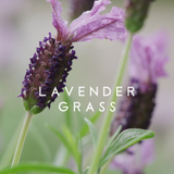 Reed Diffuser - Sohum - Sohum Lavender Grass Signature Diffuser 160ml - The Gift Company Reed Diffuser - Sohum - Sohum Lavender Grass Signature Diffuser 160ml - The Gift Company