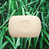 Bath Soap Bar - Saponificio Artigianale Fiorentino - Saponificio Artigianale Fiorentino Vetiver Bar Soap Set of 12 x 200g - The Gift Company