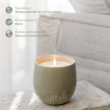 Candle - Al.ive - al.ive body Blackcurrant & Caribbean Wood Soy Candle 295g - The Gift Company