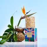Glasshouse Fragrances Lagoon Afternoon Sea Salt & Beach Rose 380g Triple Scented Soy Candle