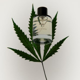 Solid State Hash Extrait De Parfum 50mL - Solid State - The Gift Company