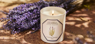 Revive Your Home: The Best Fresh Scents for a September Reset