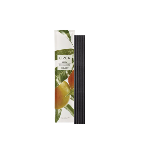 CIRCA Mango & Papaya Scent Stems™ Refill