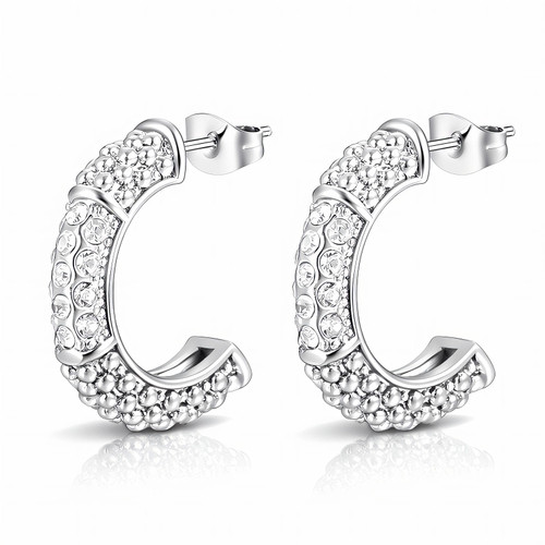 Nina Crystal Stud Earrings – Silver
