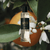 Room Spray - Lumira - Lumira Paradiso del Sole Room Spray 100mL - The Gift Company