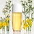 Elizabeth Arden Sunflowers Eau de Toilette Spray 100mL