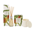 CIRCA Mango & Papaya  Candle & Diffuser Bundle
