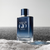 Giorgio Armani Acqua Di Gio Profondo Eau de Parfum 100mL