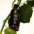 Hunter The Reeds Blue Gum, Lemon Myrtle & Wattle Diffuser 240mL