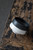 Handmade Japanese Ceramic Zen Incense Burner