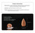 Waterfall Backflow Incense Cones