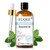 Aromatherapy Essential Oil 100mL for Diffusers