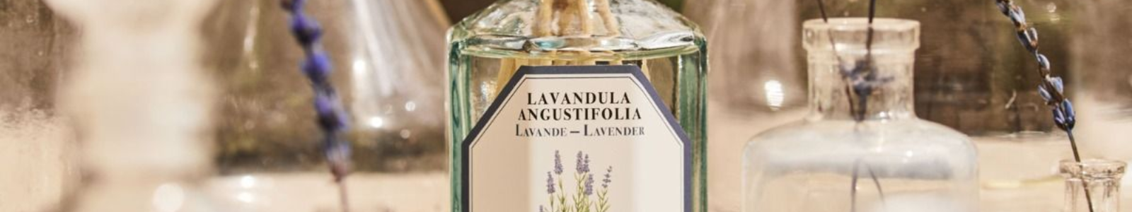 Revive Your Home: The Best Fresh Scents for a September Reset