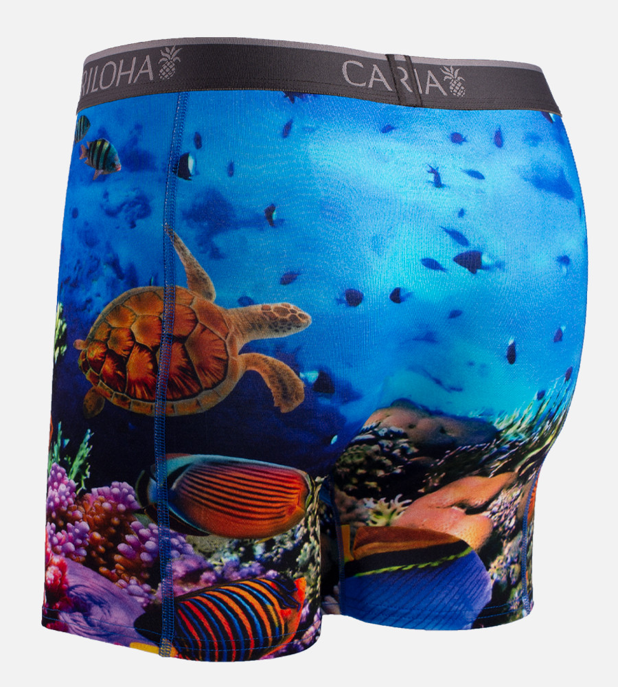 ENSOU. Seaside Boxers Relief 上代3万 Bamboo Boxer Briefs - Ocean Scene