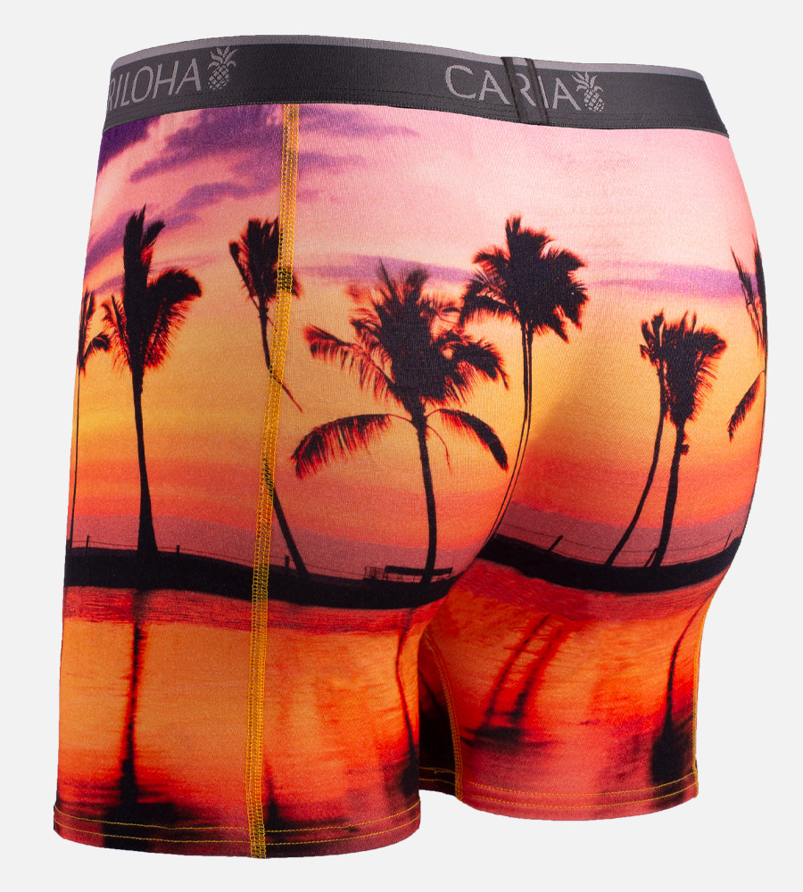 Bamboo Boxer Briefs - Sunset Beach