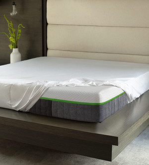 https://cdn11.bigcommerce.com/s-ph0s11yw4g/images/stencil/300w/products/232/877/Mattress_Protector1__37194.1613588744.jpg