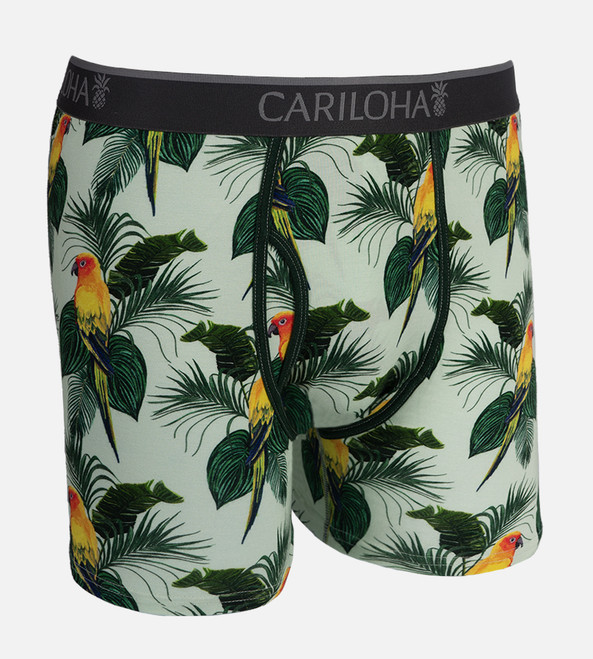 front view of parrot pattern boxers
