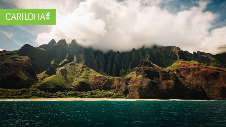 hawaii coast