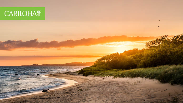 beach sunset