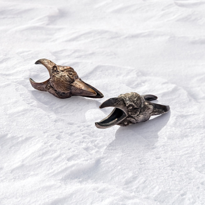 The Kinship of the Raven The Kinship of the Raven