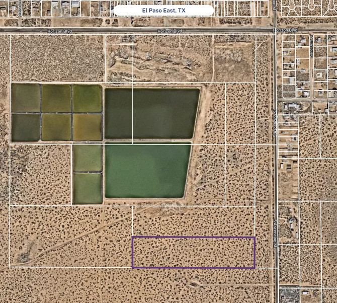 JACOB KNEIBER SURV #293 S 1/2 OF S 1/2 OF SE 1/4 (20.0000 AC)