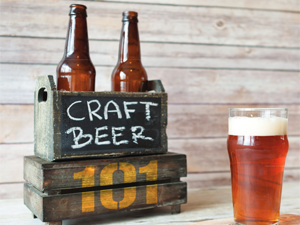 Downloadable Craft Beer 101