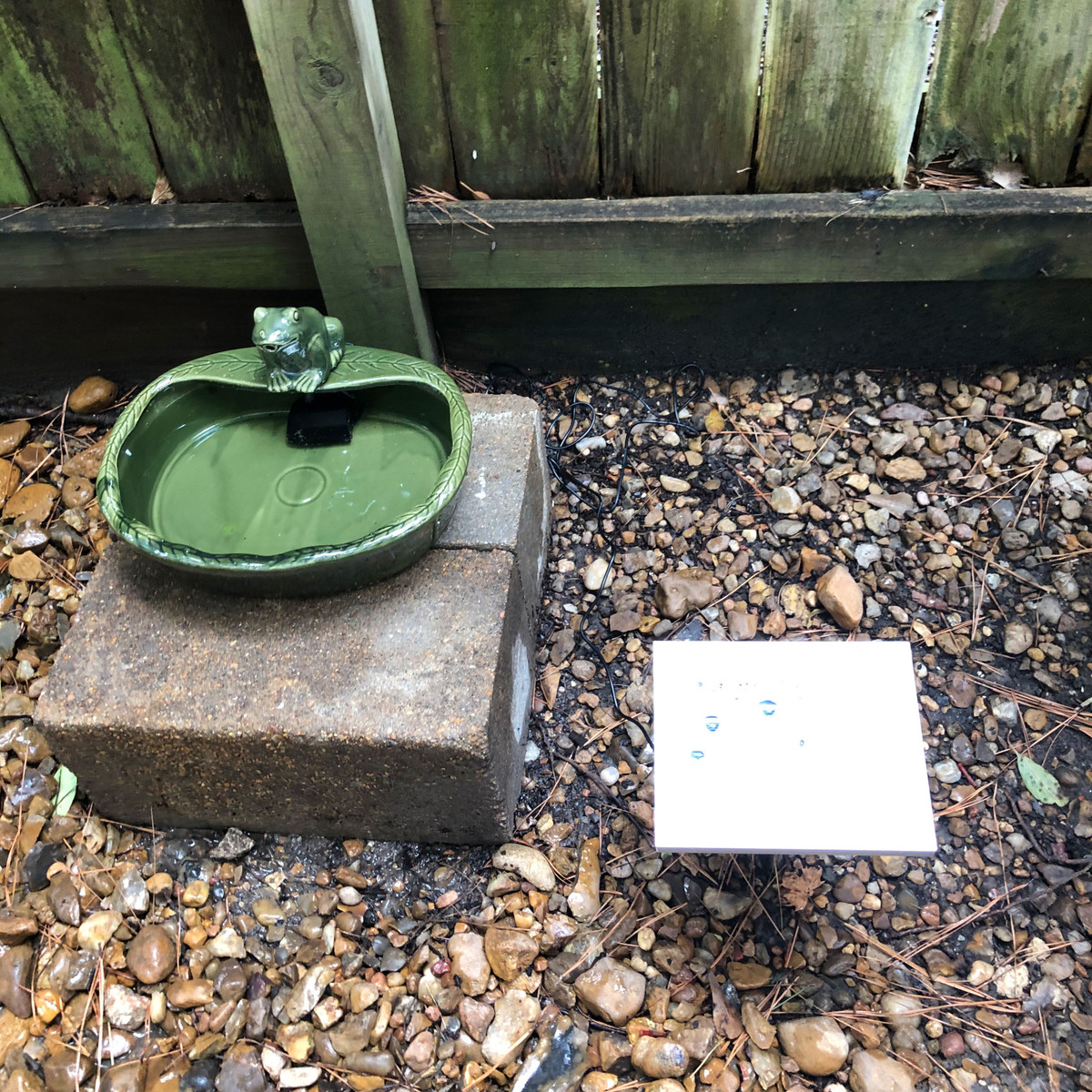 Sunnydaze Ceramic Solar Frog Outdoor Water Fountain