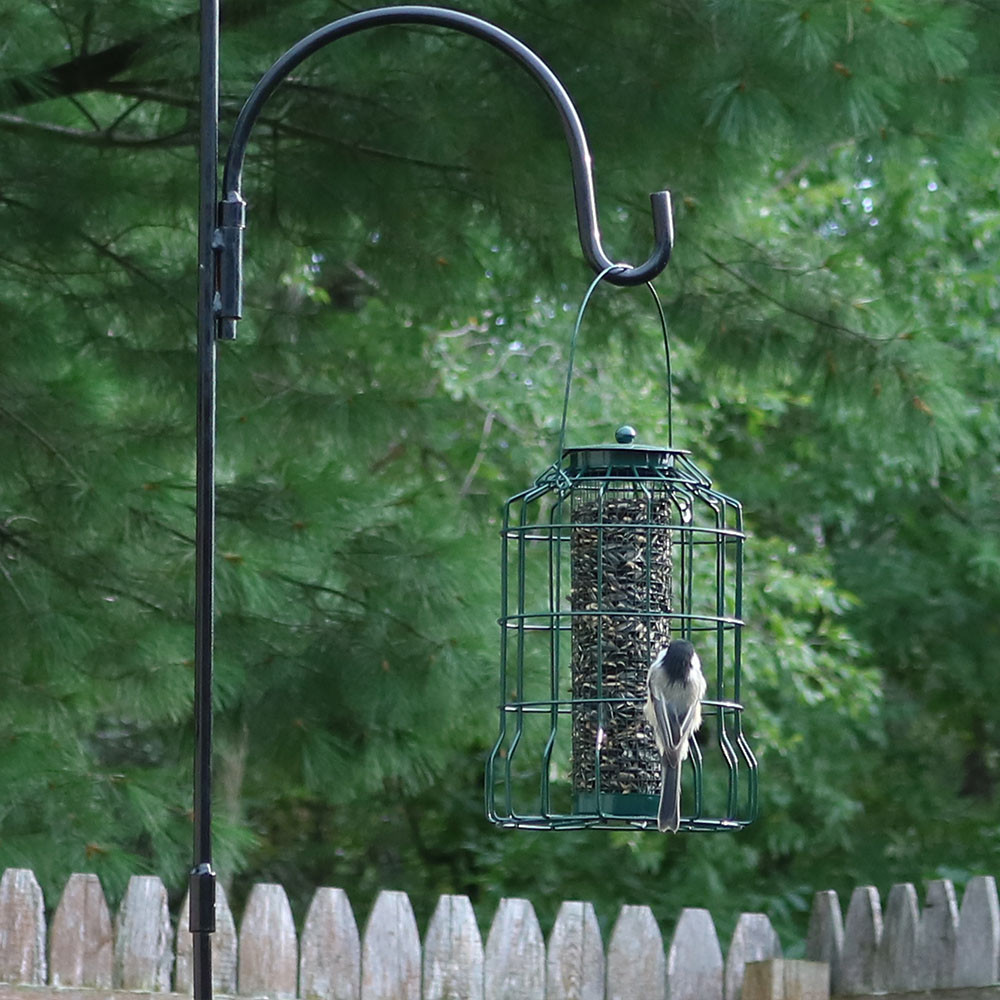Sunnydaze Green Wire Wild Bird Feeder