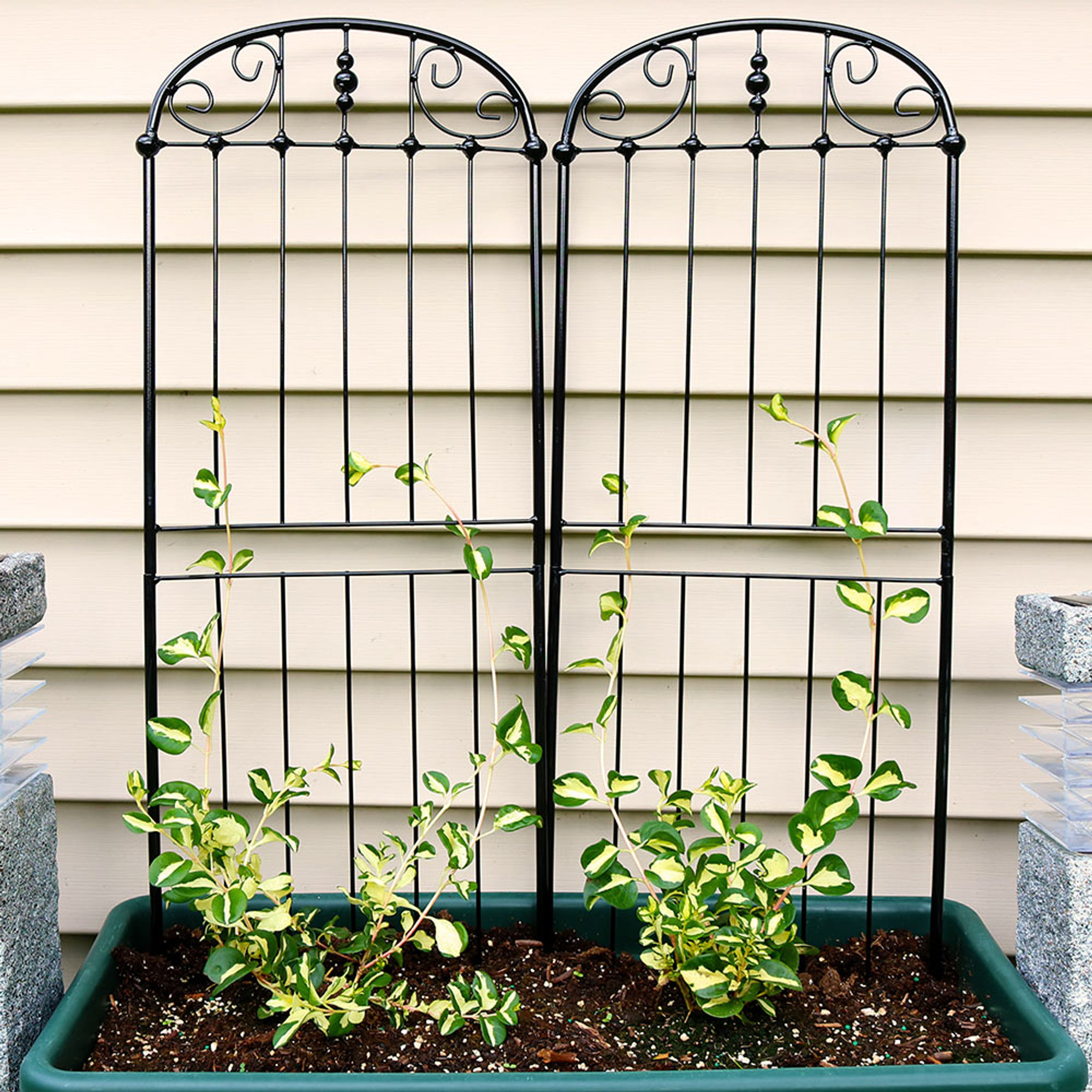 Sunnydaze 32 Inch Traditional Garden Trellis, Set of 2
