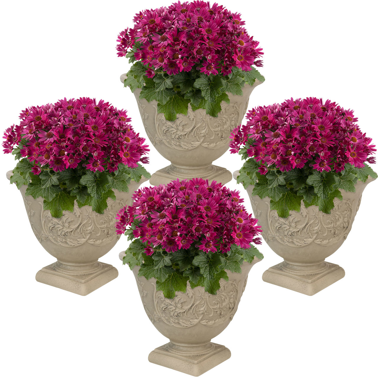 Sunnydaze Darcy Elegant Vines Indoor Outdoor Planter Pot 16 Inch