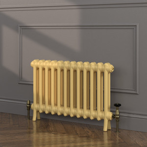 CI-EL-FB-01-02-03-04 - Elizabeth 2 Column Cast Iron Radiator H500mm x W208mm